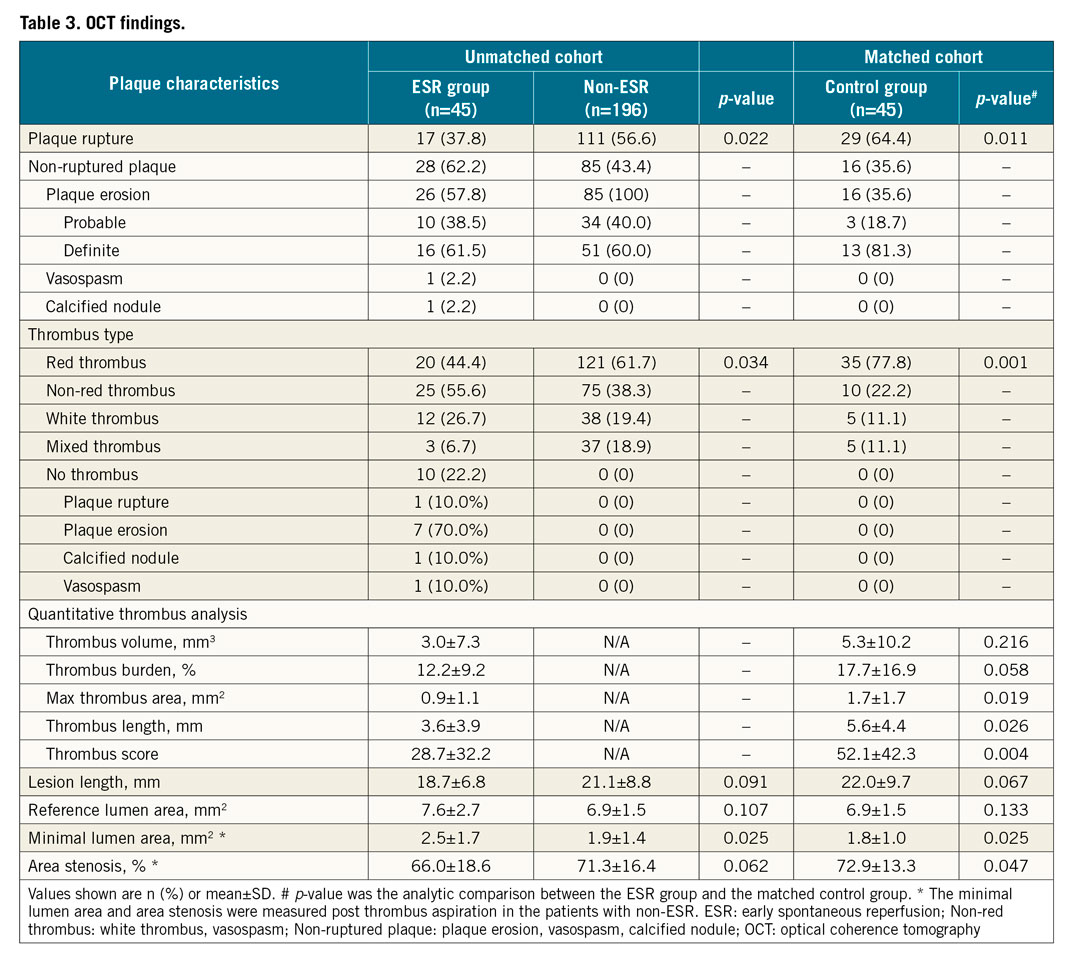 Table 3. OCT findings.